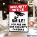 Security Notice Painting Poster, Bold Black-and-White Security Camera Graphic Poster, Clear Monitoring Warning Reminder, Suitable For Shops, Offices_maomaolike.com