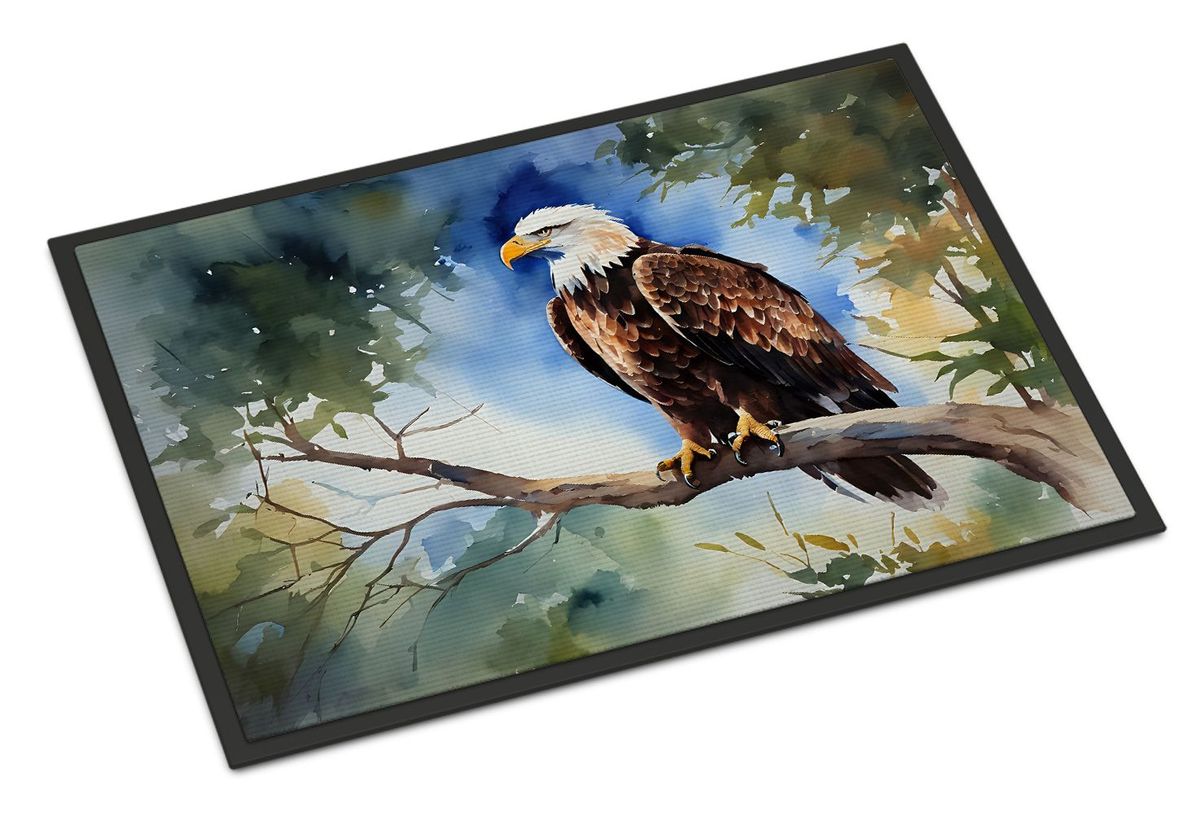 Eagle Doormat Front Door Mat Indoor Outdoor Rugs For Entryway, Non Slip Washable Low Pile, 24H X 36W_maomaolike.com