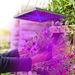LED Grow Light Full Spectrum Hanging 225 LEDs Plant Grow Lamp Indoor Grow Light For Greenhouse Succulents Seedlings Plants Veg And Flower(15W LEDs)_maomaolike.com