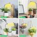 LED Ground Plug In Plant Light Full Spectrum Fill Light Succulent Ground Plug In Light Aquarium Plant Growth Light Factory_maomaolike.com