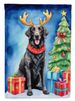 Curly-Coated Retriever Christmas Reindeer Garden Flag Mailbox Flag Decorative Yard Flag Banner Outside Patio Artwork Yard Flower Beds, Garden Size, Multicolor_maomaolike.com