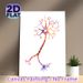 Neuron Themed Painting Poster, Vibrant Watercolor Neuron Anatomy Poster, Informative Artistic Decor Suitable For Office, Clinic And Study Space_maomaolike.com