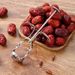 Household Red Date Pitcher Kitchen Pitting Tool_maomaolike.com