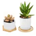 6Pcs Flowerpot Wooden Bamboo Tray Stand Indoor Plate Nursery Plant Holders Garden Saucers Storage Desktop Bonsai Decoration_maomaolike.com