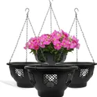 Hanging Baskets_maomaolike