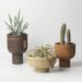 European Ceramic Succulent Plant Modern Simple Personality Green Radish Rose Vintage Large Flower Pot_maomaolike.com