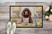 Decorating Easter American Water Spaniel Doormat Front Door Mat Indoor Outdoor Rugs For Entryway, Non Slip Washable Low Pile, 24H X 36W_maomaolike.com