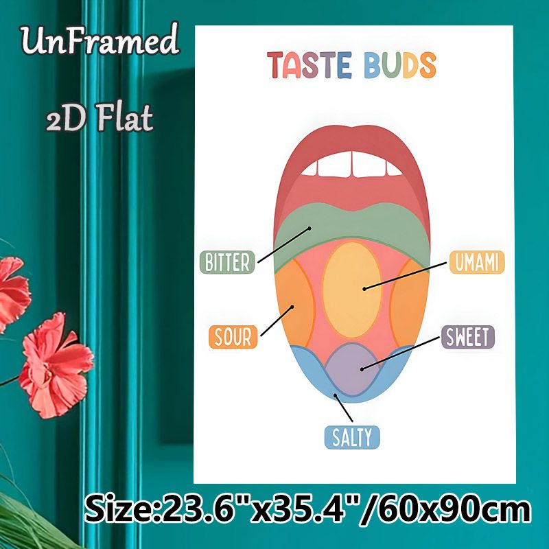 Taste Buds Themed Painting Poster, Vibrant Illustrated Tongue Taste Zones Poster, Informative Educational Decor Ideal For Kitchen, Dining Area Or_maomaolike.com