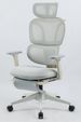 Ergonomic Office Chair With Footrest, High Back Computer Office Chair With Dynamic Lumbar Support, 2D Headrest, 2D Armrest, Sponge Seat, Mesh Home Office Desk Chair For Adults, GREY_maomaolike.com