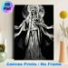 Grim Reaper Themed Painting Poster, Monochrome Dramatic Ink-wash Poster, Mysterious Robed Skull Figure With Scales And Full Moon Backdrop, Atmospheric_maomaolike.com