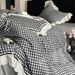 Wholesale French Style Embroidered Pure Lace Trim Naked Sleep 100% Long-Staple Cotton Four-Piece Set_maomaolike.com