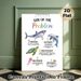 Size Of The Problem Emotional Regulation Painting Poster, Watercolor Ocean Animal Themed Poster, Assists With Problem Intensity Identification_maomaolike.com