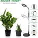 Led Lifting Angel Ring Plant Growth Lamp Micro Landscape Fill Light Succulent Flower Seedling Fill Light USB Type%_maomaolike.com