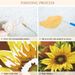 RUOPOTY Acrylic Picture By DIY Decorative Paintings Santa Claus Gifts Painting Numbers Handiwork Art Gift_maomaolike.com