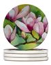 Mississippi Magnolia In Watercolor Large Sandstone Coasters Pack Of 4 Absorbent Round Coasters Decor Gifts For Men Or Women, 4 In, Multicolor_maomaolike.com