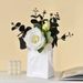 Creative Home Decor Items, High-value Flower Vases, Restaurant Flower Arrangements, Hydroponic Dried Flower Vases, Plain White Seashell Vases_maomaolike.com