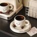 Cartoon Minimalist Ceramic Coffee Cup And Dish Set Gift Box Set_maomaolike.com