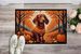 Dachshund Fall Doormat Front Door Mat Indoor Outdoor Rugs For Entryway, Non Slip Washable Low Pile, 24H X 36W_maomaolike.com