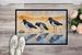 Oystercatchers Foraging Doormat Front Door Mat Indoor Outdoor Rugs For Entryway, Non Slip Washable Low Pile, 24H X 36W_maomaolike.com