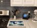 Blue Heron Under The Moonlight Glass Cutting Board Decorative Tempered Glass Kitchen Cutting And Serving Board Large Size Chopping Board_maomaolike.com