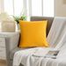 Solid Color Velvet Pillow Cover Sofa Office Chair Waist Cushion Cover_maomaolike.com