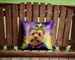 Norwich Terrier King Of Mardi Gras Throw Pillow Machine Washable, Indoor Outdoor Decorative Pillow For Couch, Bed Or Patio, 14Hx14W_maomaolike.com
