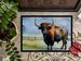 American Bison Doormat Front Door Mat Indoor Outdoor Rugs For Entryway, Non Slip Washable Low Pile, 24H X 36W_maomaolike.com