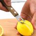 Wood Handle Lemon Zester Fruit Grater And Peeler_maomaolike.com