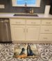 Afghan Hound Fall Kitchen Pumpkins Memory Foam Kitchen Mat Machine Washable Anti-Fatigue Mat Cushion Comfort Bath Mat Or Kitchen Rug_maomaolike.com