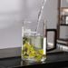 【 4567 People's Collection 】 High Temperature Resistant Glass Pot, Green Maker, Filter Cup, Heat-resistant Tea_maomaolike.com