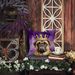 Bullmastiff King Of Mardi Gras Throw Pillow Machine Washable, Indoor Outdoor Decorative Pillow For Couch, Bed Or Patio, 14Hx14W_maomaolike.com