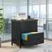 2-Drawer File Cabinet, Lateral Filing Cabinet Printer Stand_maomaolike.com