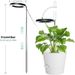 6 Inch LED Angel Ring Plant Light Full Spectrum Plant Grow Light Indoor Potted Plant Fill Light & Factory_maomaolike.com