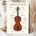 Violin Anatomy Painting Poster, Clear Labeled Educational Illustration Poster, Informative Guide To Violin Components, Ideal For Music Classrooms And_maomaolike.com