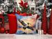Pelican Fyling At Sunrise Throw Pillow Machine Washable, Indoor Outdoor Decorative Pillow For Couch, Bed Or Patio, 14Hx14W_maomaolike.com