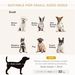 Luxury Dog Bed For Small Dogs, Hidden Storage, Soft Foam Couch, Modern Pet Furniture, Gray_maomaolike.com