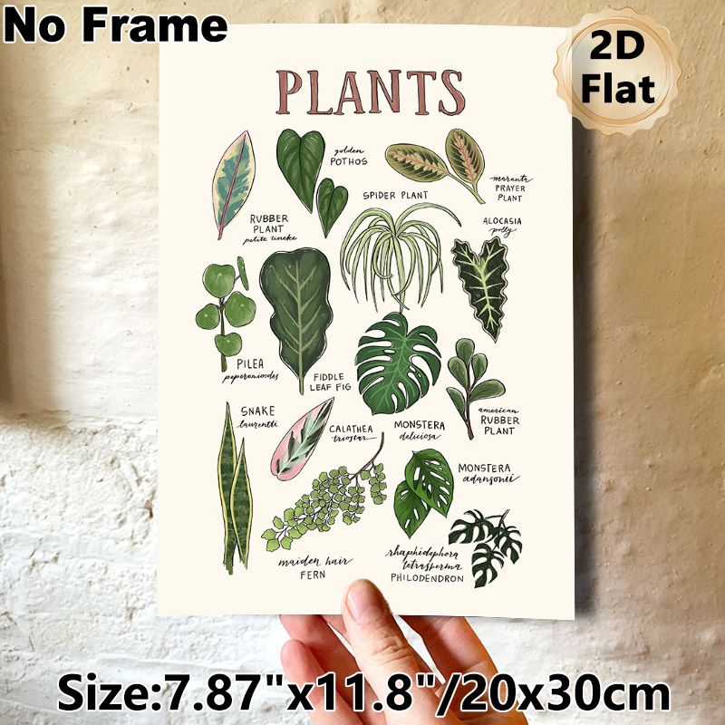 Houseplants Identification Painting Poster, Hand-drawn Illustrated Indoor Houseplants Poster, Informative Plant Naming Guide, Suitable For Home_maomaolike.com