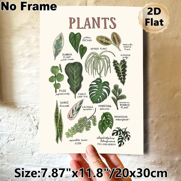 Houseplants Identification Painting Poster, Hand-drawn Illustrated Indoor Houseplants Poster, Informative Plant Naming Guide, Suitable For Home_maomaolike.com