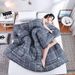 Factory Direct Supply Warm Thickened Aloe Vera Cotton Hotel Single And Double Winter Core Quilt Gift Wholesale Dropshipping_maomaolike.com