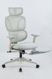 Ergonomic Office Chair With Footrest, High Back Computer Office Chair With Dynamic Lumbar Support, 2D Headrest, 2D Armrest, Sponge Seat, Mesh Home Office Desk Chair For Adults, GREY_maomaolike.com