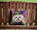 Maltese King Of Mardi Gras Throw Pillow Machine Washable, Indoor Outdoor Decorative Pillow For Couch, Bed Or Patio, 14Hx14W_maomaolike.com