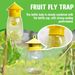 Plastic Drosophila Anti Fruit Killer Catcher Orchard Insect Pest Control Fly Bee Trap_maomaolike.com