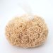 Poplar For Reptile Transport, Bird Nest Shavings, Wood Strips, Gift Box Packaging Filling, Fruit Fly Climbing Shavings_maomaolike.com