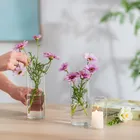 Transparent_maomaolike