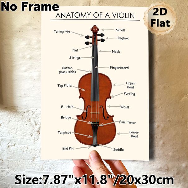 Violin Anatomy Painting Poster, Clear Labeled Educational Illustration Poster, Informative Guide To Violin Components, Ideal For Music Classrooms And_maomaolike.com
