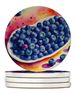 Colorful Blueberries Large Sandstone Coasters Pack Of 4 Absorbent Round Coasters Decor Gifts For Men Or Women, 4 In, Multicolor_maomaolike.com