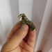 New Vintage Fun Seal Antique-Style Pure Brass Handheld Piece Creative Solid Copper Craft Collectible Ornament_maomaolike.com