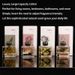 Long Lasting Fragrance Reed Diffuser Home Aromatherapy Gift Set With Natural Essential Oils For Indoor Use_maomaolike.com