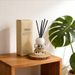 50ml Reed Diffuser Incense For Household Use, Indoor Fragrance Type, Osmanthus, Flameless Rattan Incense, Bathroom And Hotel Incense_maomaolike.com