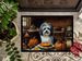 Havanese Fall Kitchen Pumpkins Doormat Front Door Mat Indoor Outdoor Rugs For Entryway, Non Slip Washable Low Pile, 24H X 36W_maomaolike.com